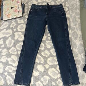 Express Dark Blue Women's Skinny Jeans